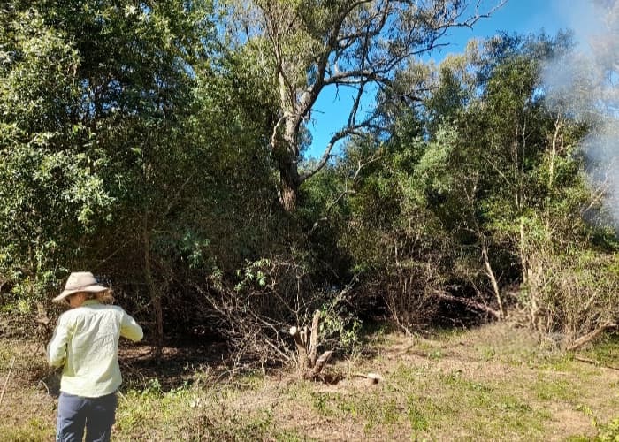 Land management work