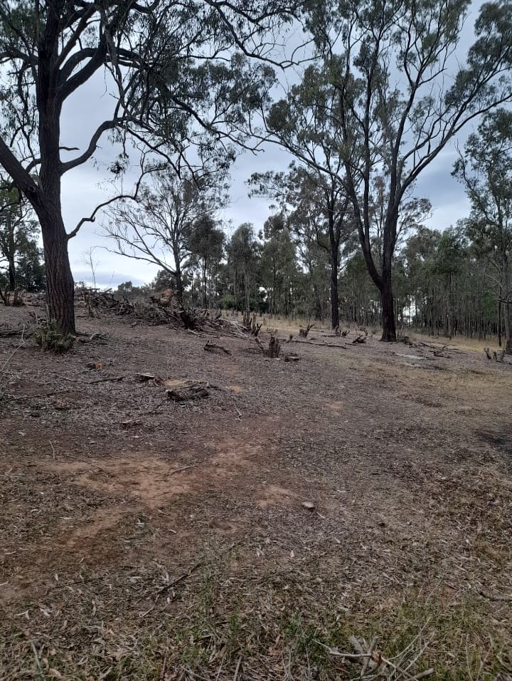 Land management work