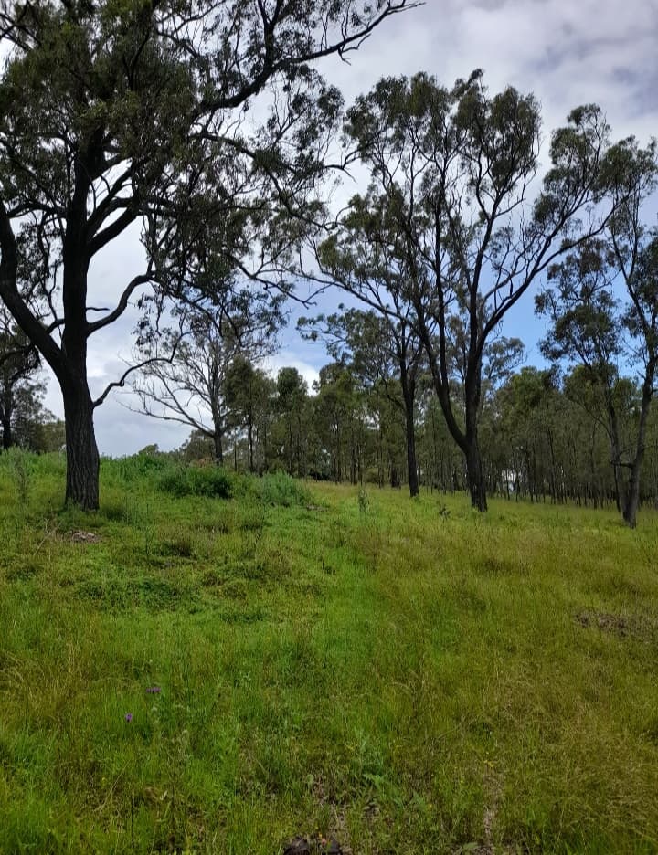 Land management work