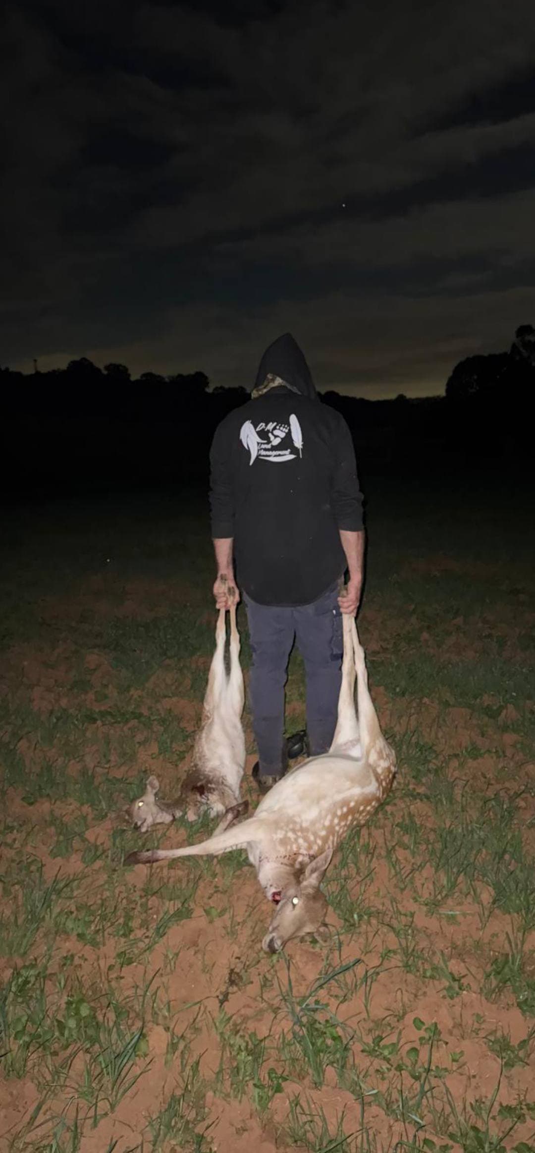 Feral Management 3