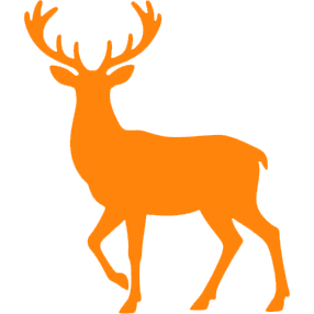 Feral Species Management