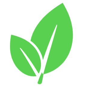 Bush Regeneration