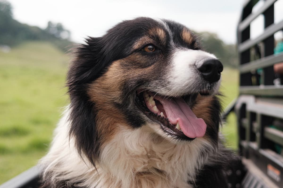 Land management work