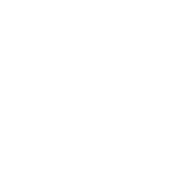 Custom Services
